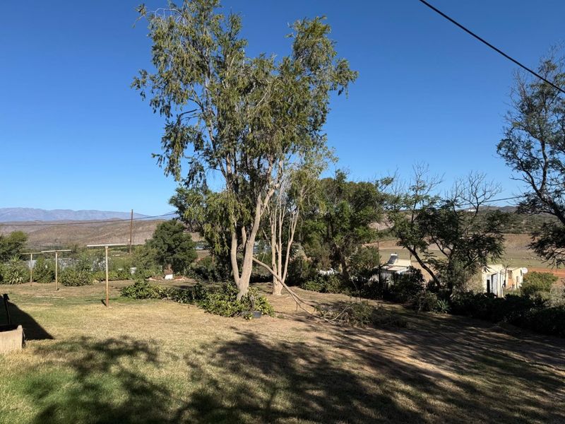 A spacious outdoor garden area featuring mature trees and expansive lawn space with scenic mountain views in the background.