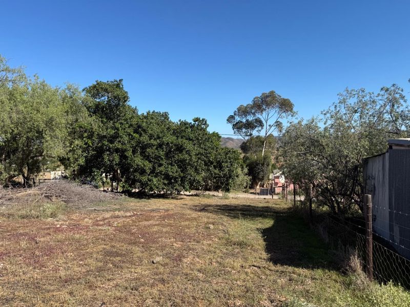 A view of an undeveloped garden area featuring mature trees and wire perimeter fencing under a clear blue sky.