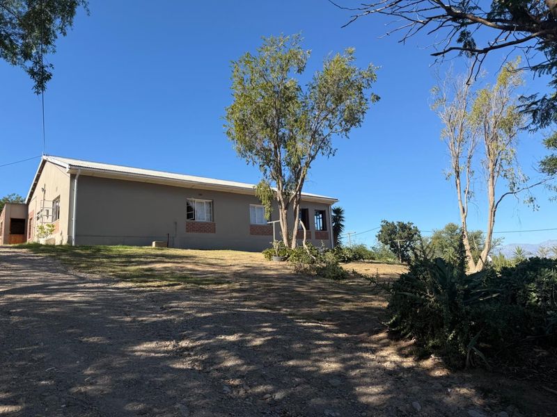 A view of the rear exterior of the house featuring plastered walls, a metal roof, and a large garden area with mature trees.