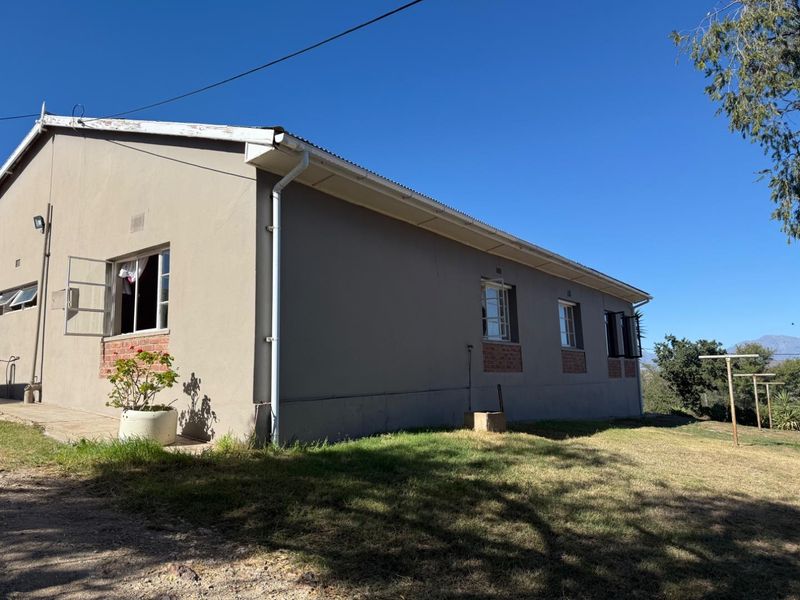 Rear exterior view of the house featuring plastered walls, brick plinth detailing, and corrugated metal roofing.