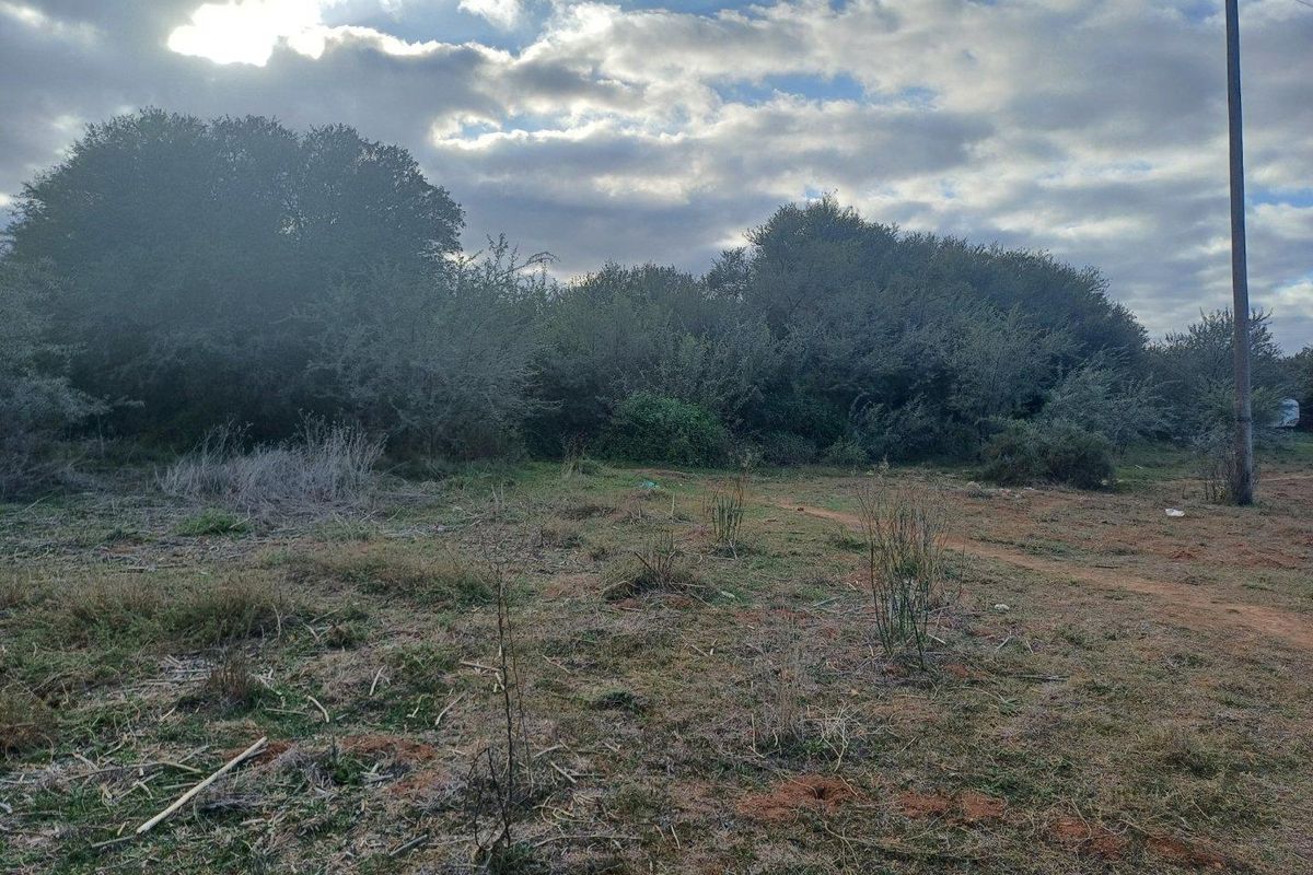 Vacant Land For Sale in Van Wyksdorp, Ladismith - Photo 3