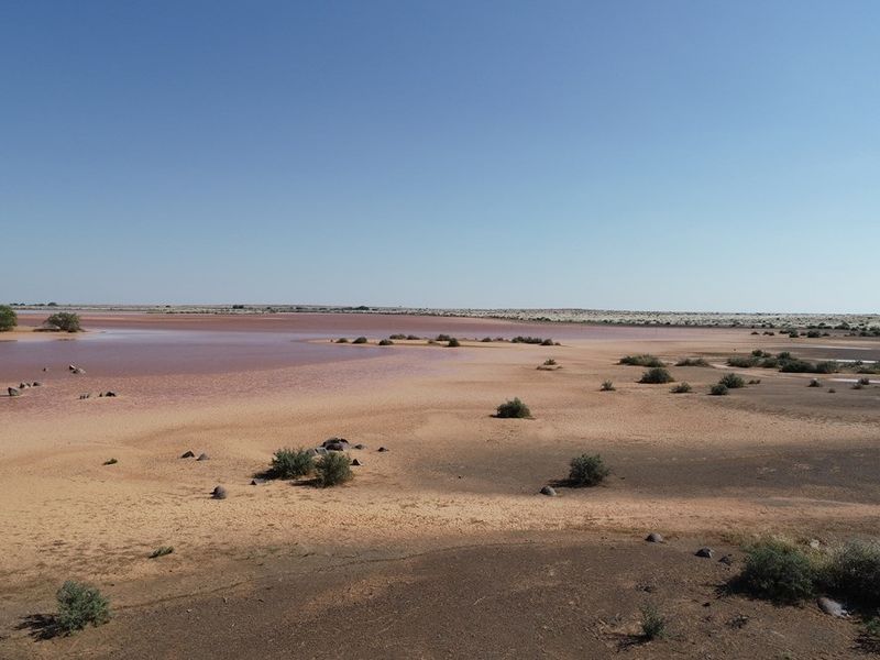 Farm For Sale in Brandvlei - Photo 4