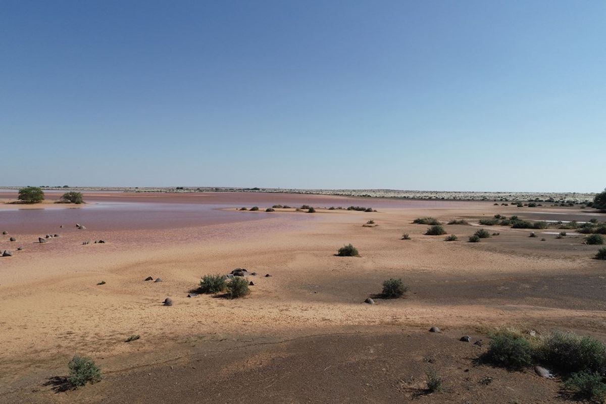 Farm For Sale in Brandvlei - Photo 4