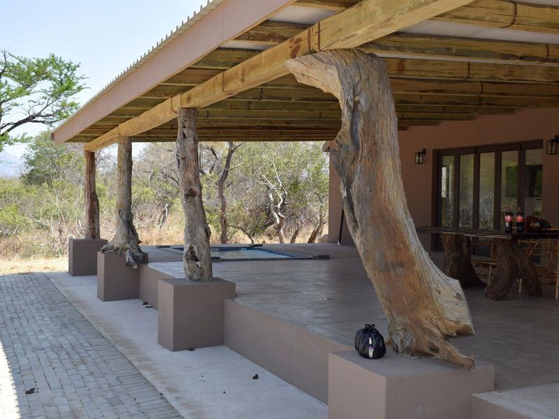 A spacious covered patio featuring unique natural timber support columns, concrete flooring, and a built-in plunge pool overlooking the surrounding bushveld.