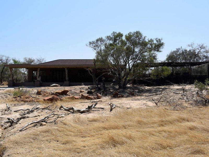 A rear view of a single-story house featuring a covered patio area with timber supports, set within a natural, unlandscaped bushveld environment.