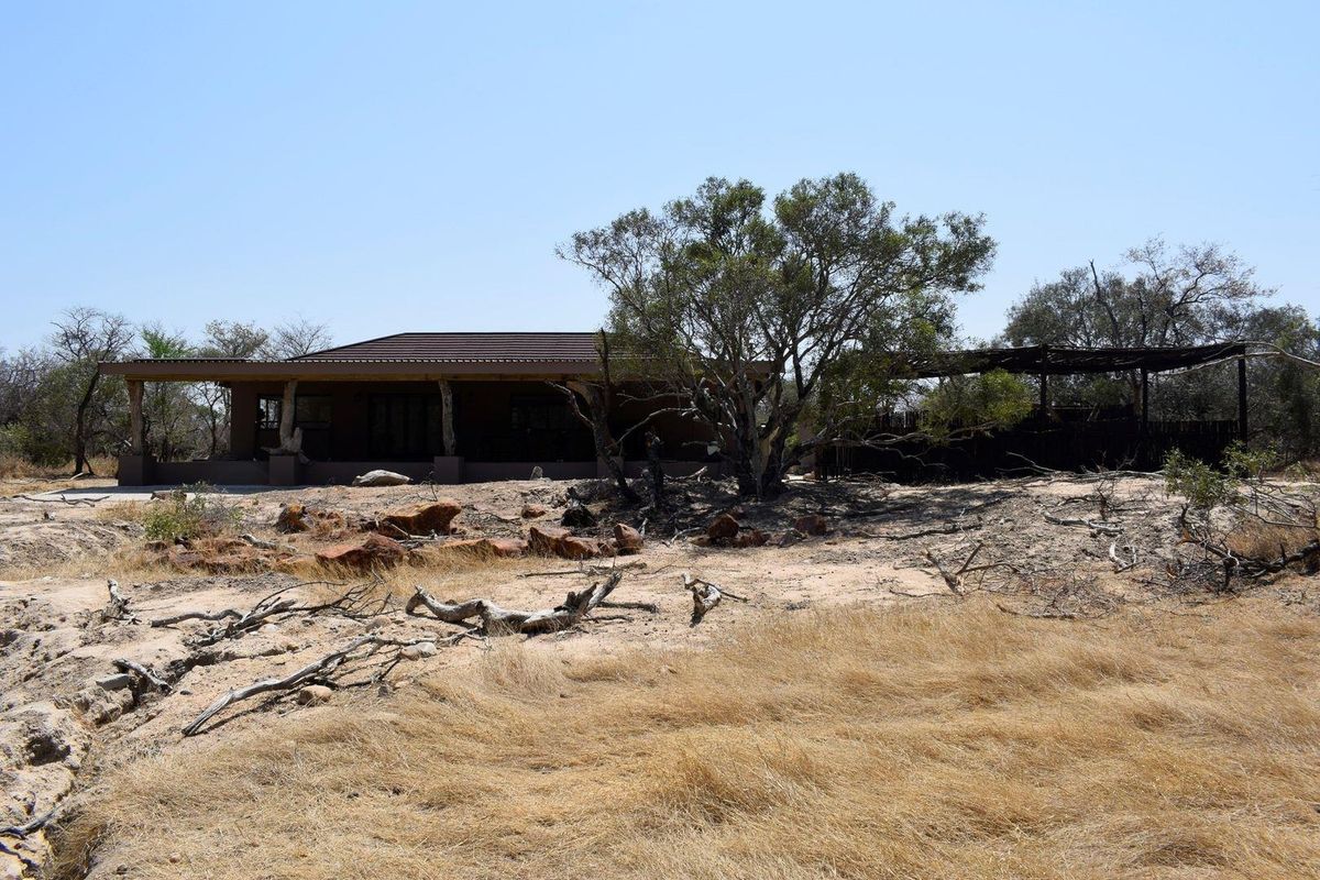 A rear view of a single-story house featuring a covered patio area with timber supports, set within a natural, unlandscaped bushveld environment.