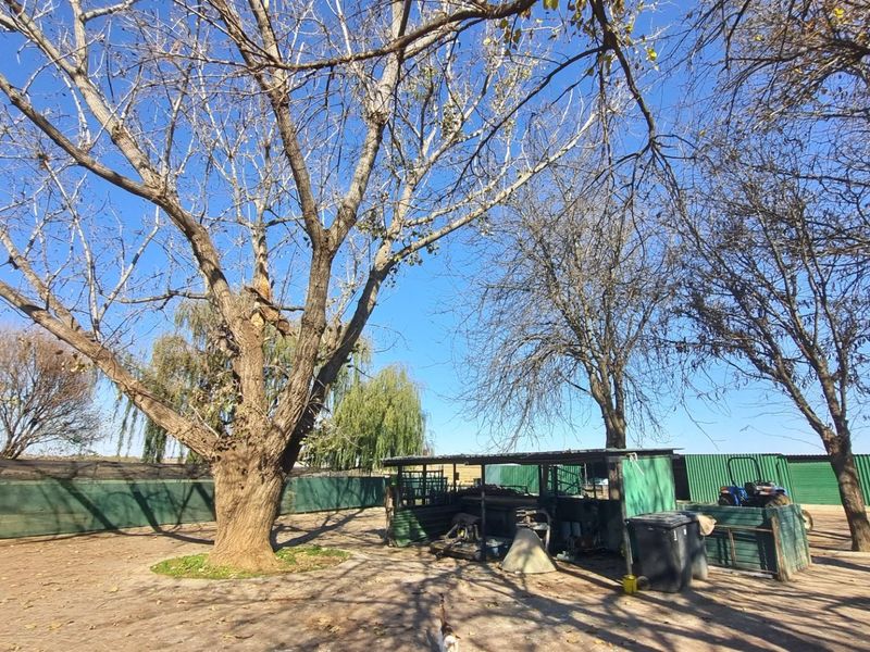 Farm For Sale in Rietkol AH, Delmas Rural, Delmas - Photo 3