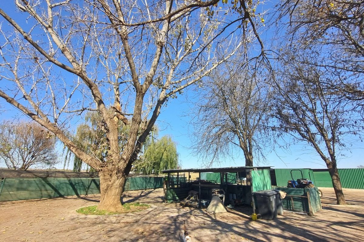 Farm For Sale in Rietkol AH, Delmas Rural, Delmas - Photo 3