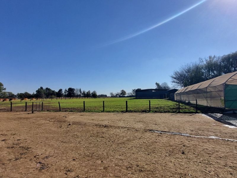 Farm For Sale in Rietkol AH, Delmas Rural, Delmas - Photo 9