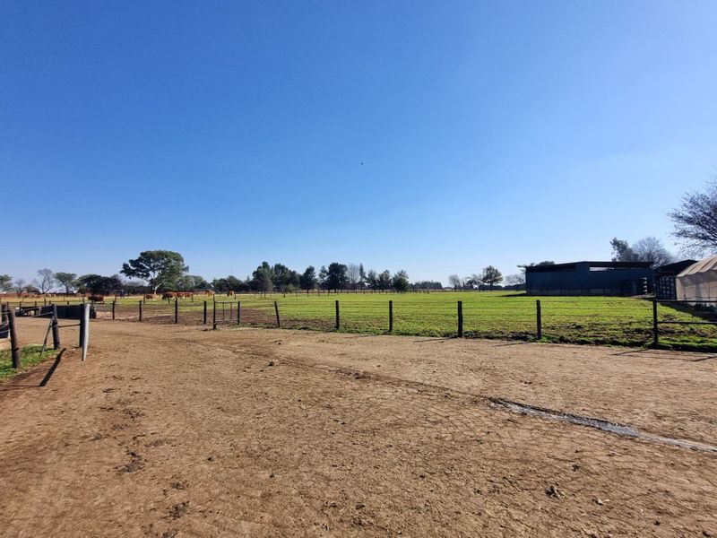 Farm For Sale in Rietkol AH, Delmas Rural, Delmas - Photo 6