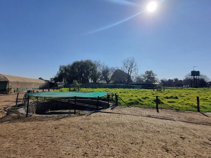 Farm For Sale in Rietkol AH, Delmas Rural, Delmas - Photo 8