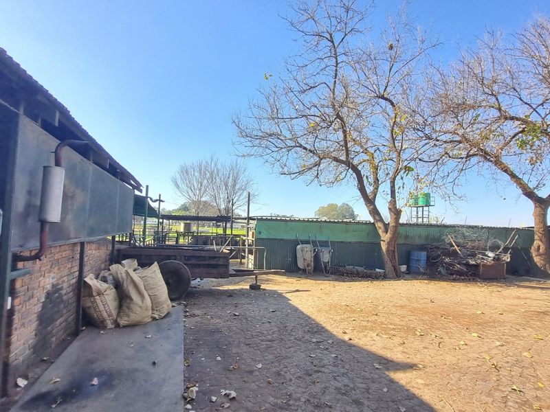 Farm For Sale in Rietkol AH, Delmas Rural, Delmas - Photo 5