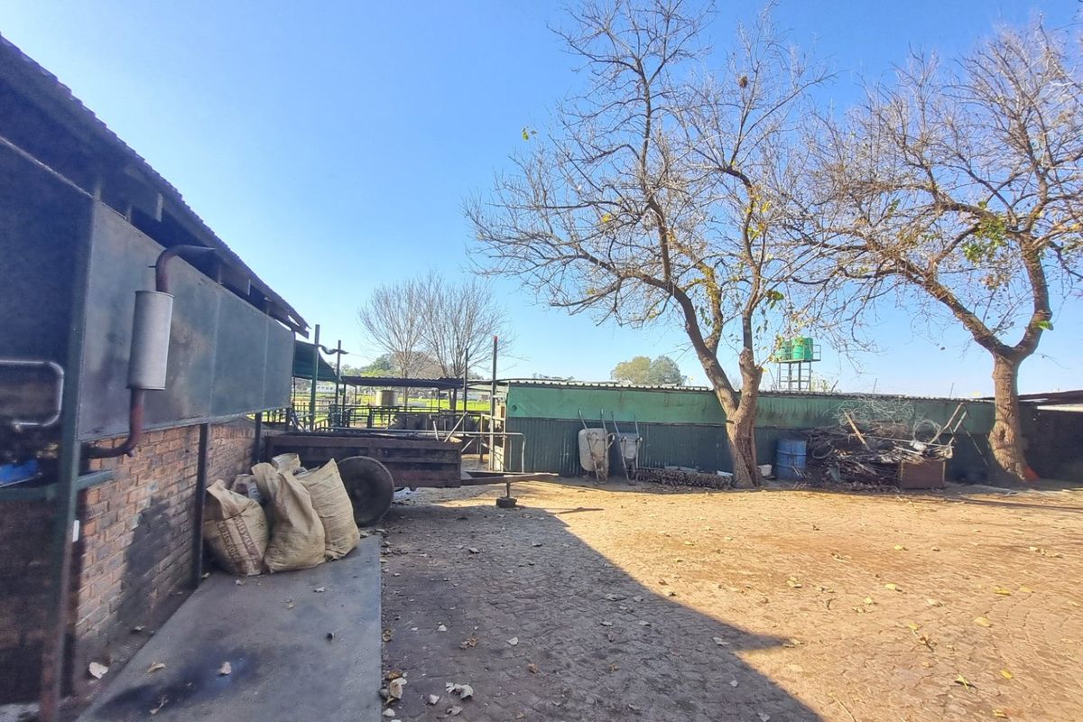 Farm For Sale in Rietkol AH, Delmas Rural, Delmas - Photo 5