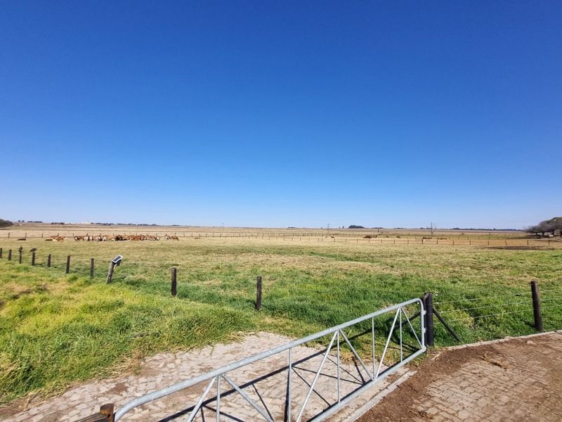 Farm For Sale in Rietkol AH, Delmas Rural, Delmas - Photo 10