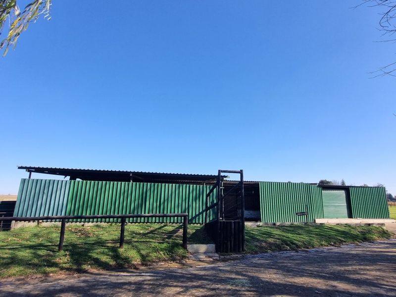 Farm For Sale in Rietkol AH, Delmas Rural, Delmas - Photo 7