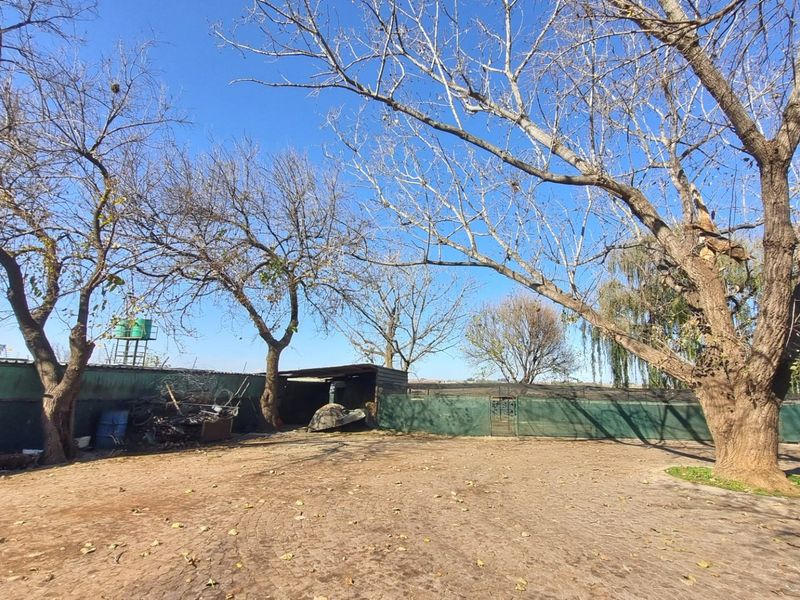 Farm For Sale in Rietkol AH, Delmas Rural, Delmas - Photo 4