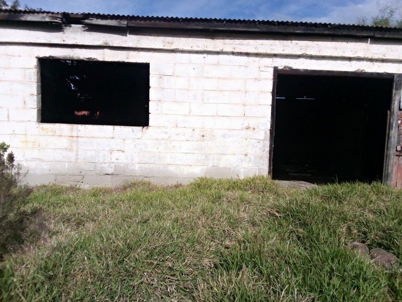 Vacant Land For Sale in Albertinia - Photo 6