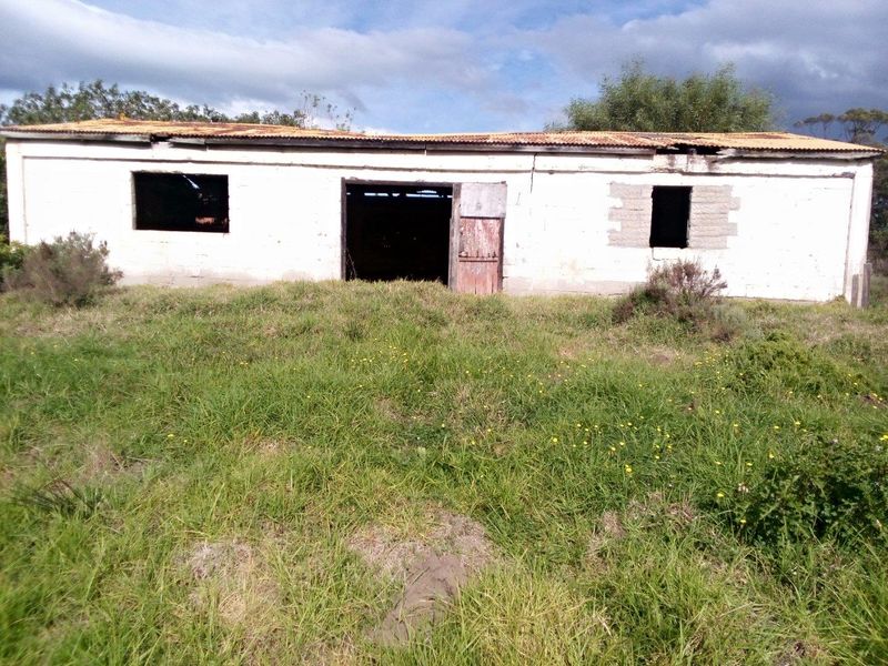 Vacant Land For Sale in Albertinia - Photo 10