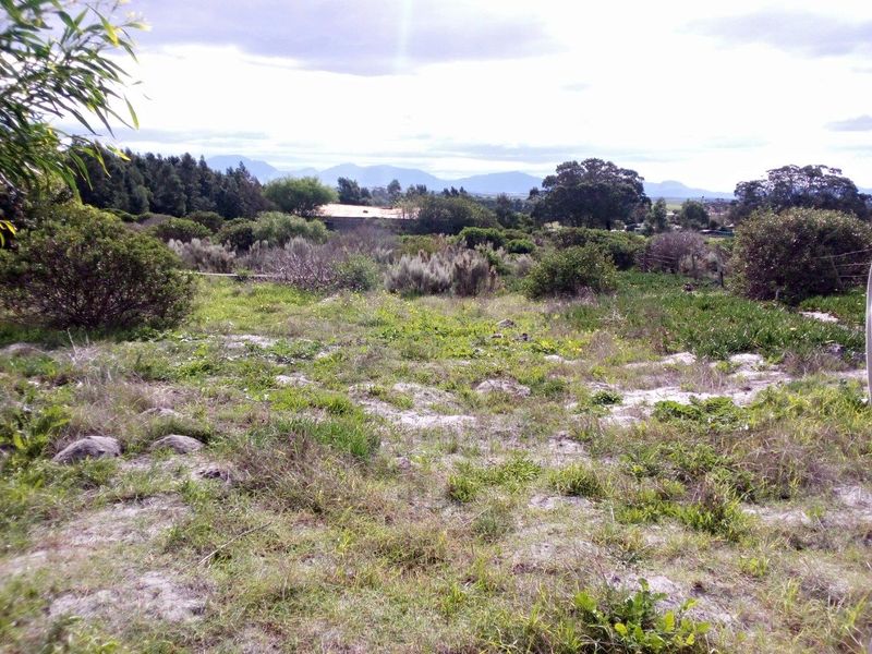 Vacant Land For Sale in Albertinia - Photo 3