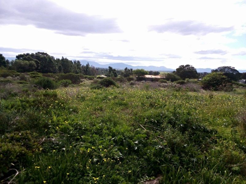 Vacant Land For Sale in Albertinia - Photo 2