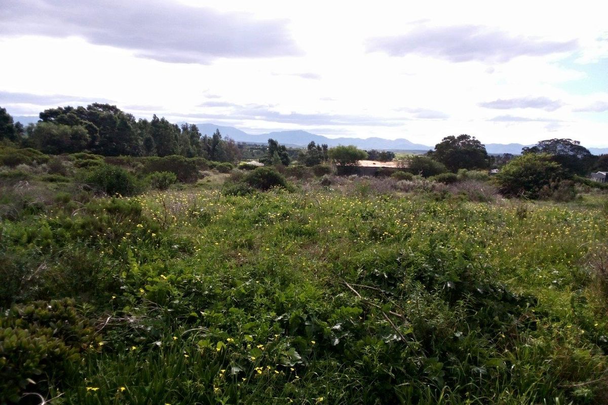 Vacant Land For Sale in Albertinia - Photo 2