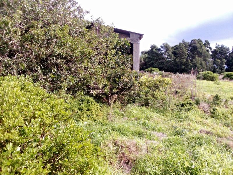 Vacant Land For Sale in Albertinia - Photo 4