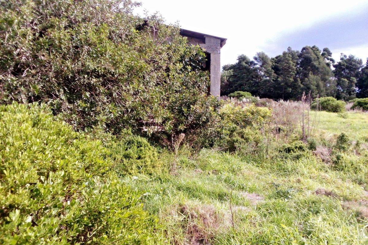 Vacant Land For Sale in Albertinia - Photo 4