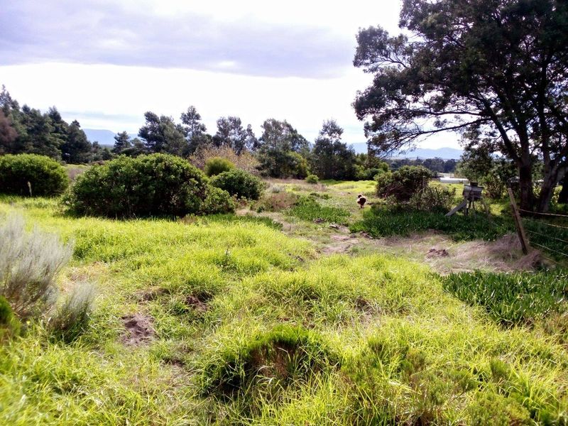 Vacant Land For Sale in Albertinia - Photo 5