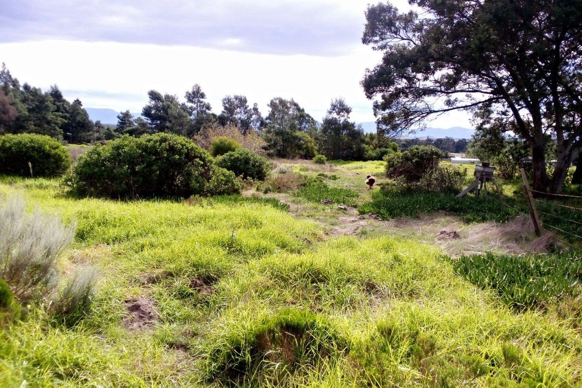 Vacant Land For Sale in Albertinia - Photo 5