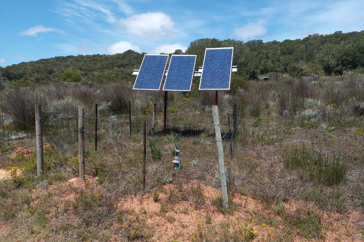 Farm For Sale in Stilbaai Rural, Stilbaai - Photo 5