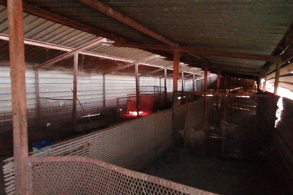 Farm For Sale in Sesfontein, Benoni - Photo 5