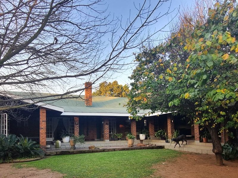 A spacious rear exterior view featuring a covered brick patio, corrugated metal roof, and established garden with mature trees.
