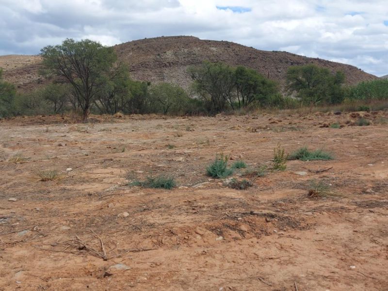 Vacant Land For Sale in Van Wyksdorp, Ladismith - Photo 10