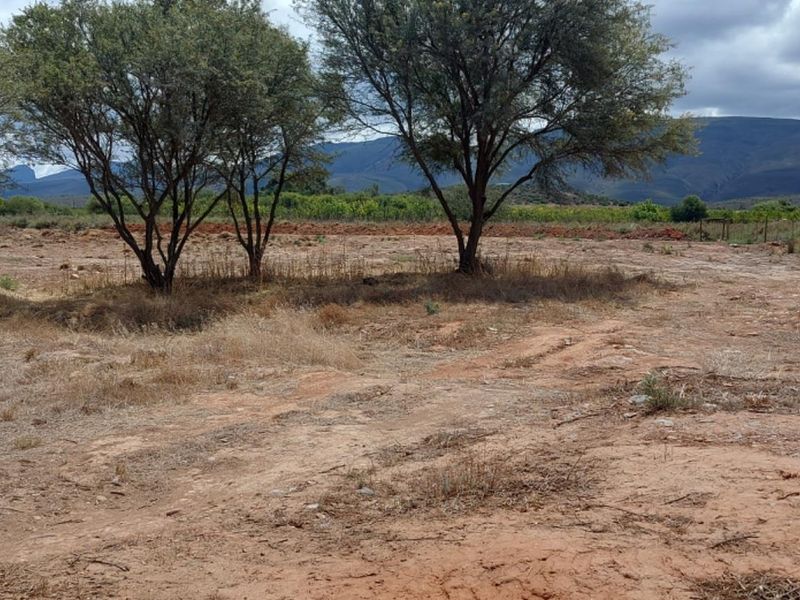 Vacant Land For Sale in Van Wyksdorp, Ladismith - Photo 4
