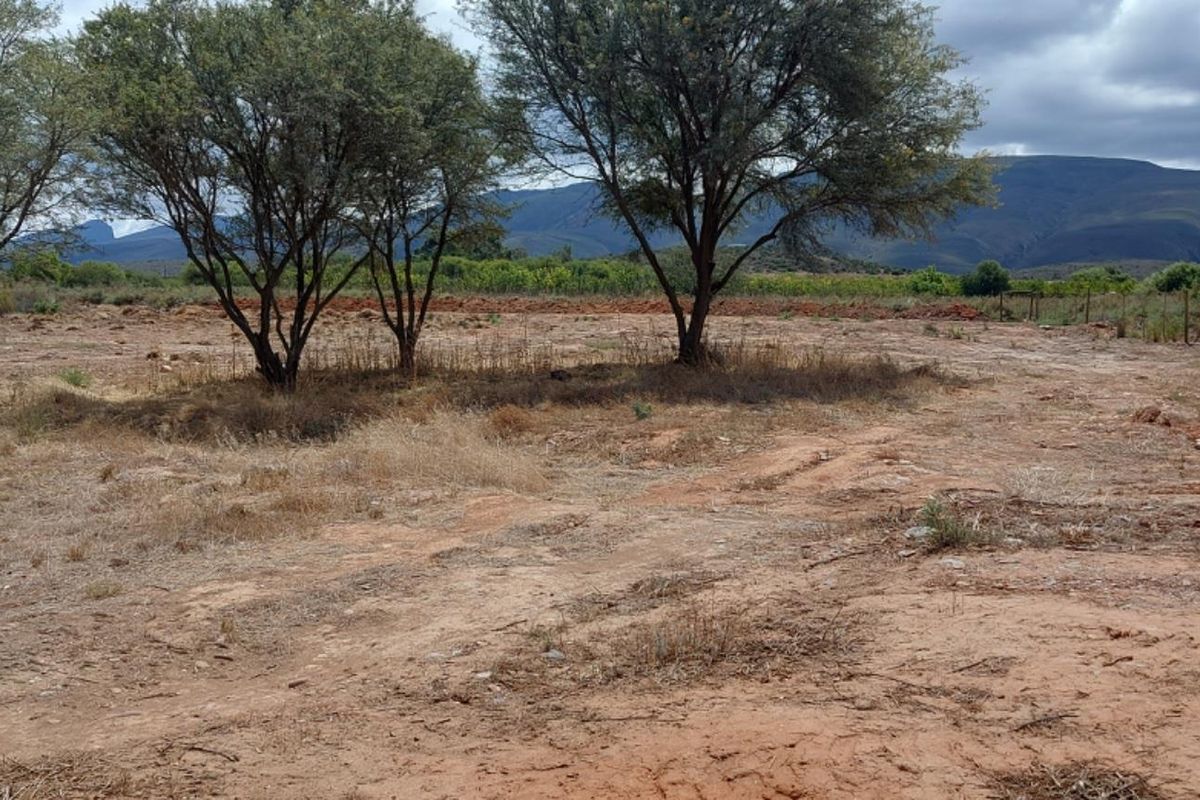 Vacant Land For Sale in Van Wyksdorp, Ladismith - Photo 4