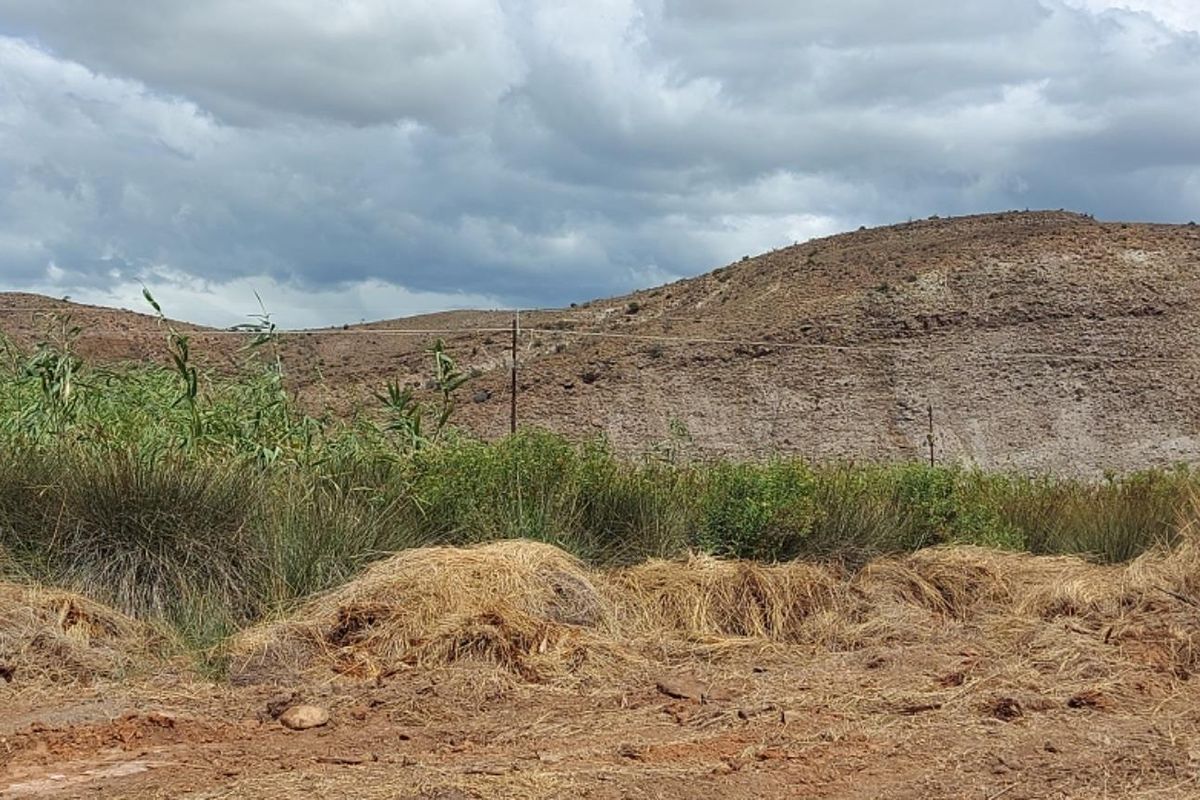Vacant Land For Sale in Van Wyksdorp, Ladismith - Photo 2