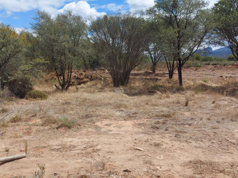 Vacant Land For Sale in Van Wyksdorp, Ladismith - Photo 5