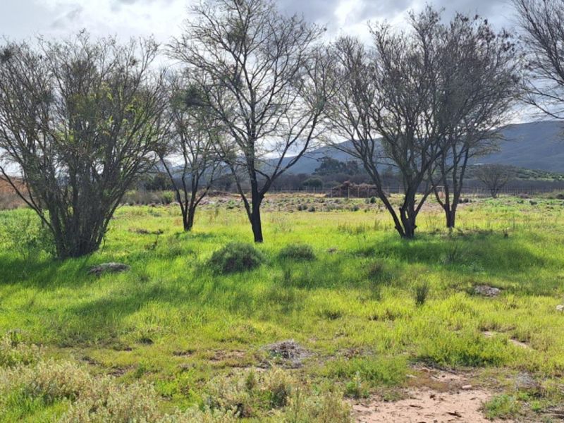Vacant Land For Sale in Van Wyksdorp, Ladismith - Photo 1