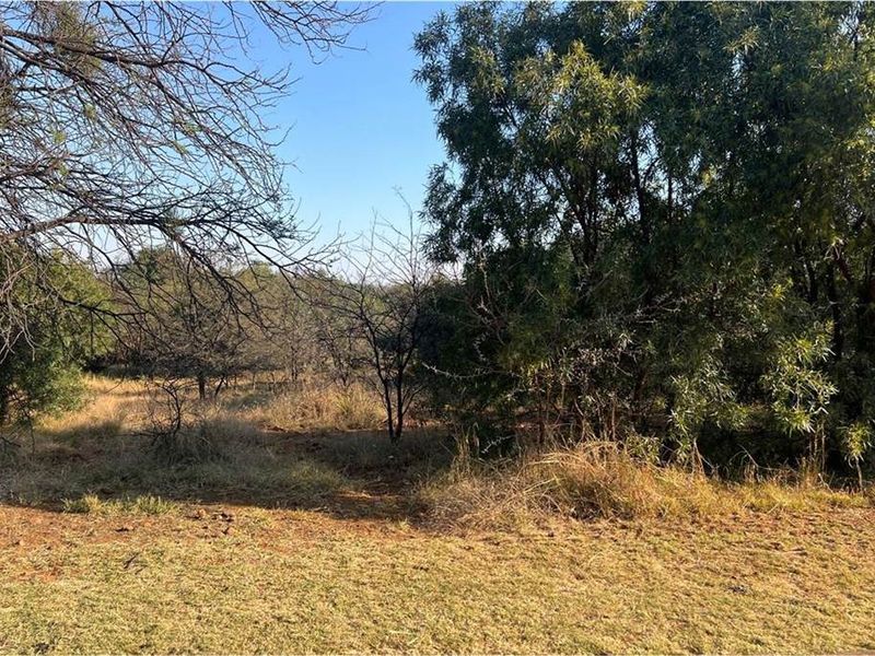 A view of the natural landscape and vegetation on the vacant residential land plot.