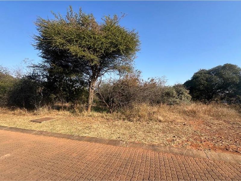 A view of a vacant residential plot featuring natural vegetation, mature trees, and direct access to a paved street.