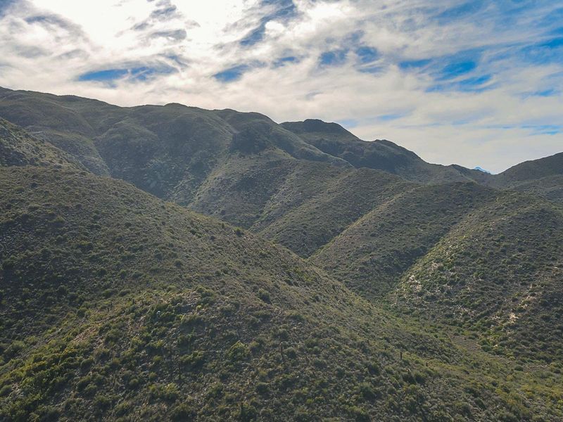 Farm UNDER OFFER in Ladismith Rural, Ladismith - Photo 9