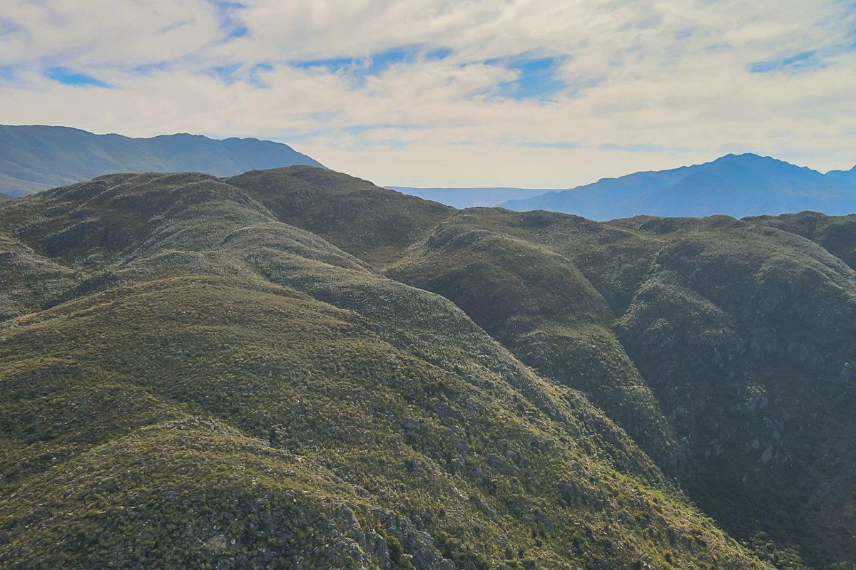Farm UNDER OFFER in Ladismith Rural, Ladismith - Photo 2