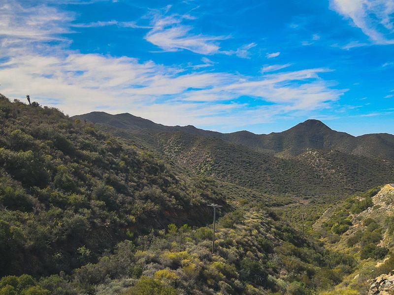 Farm UNDER OFFER in Ladismith Rural, Ladismith - Photo 8