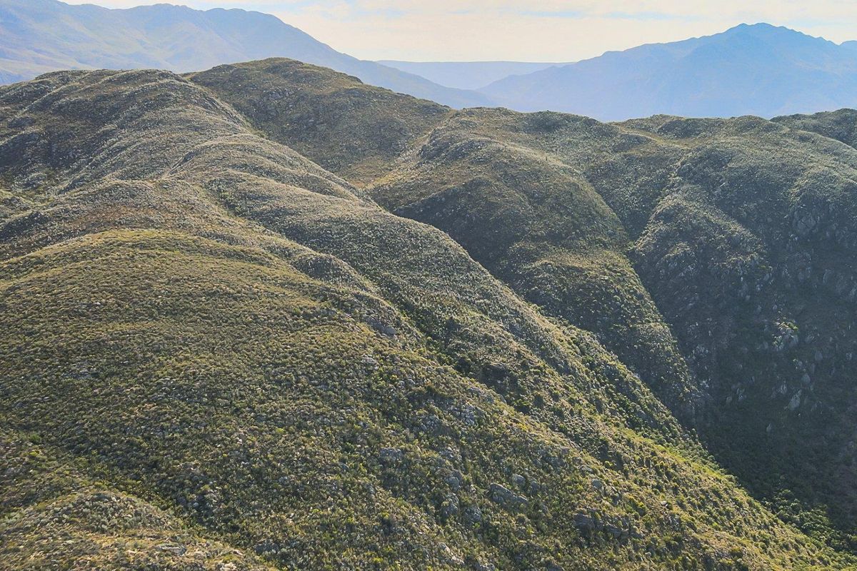 Farm UNDER OFFER in Ladismith Rural, Ladismith - Photo 3