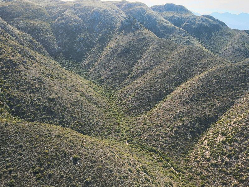 Farm SOLD in Ladismith Rural, Ladismith - Photo 10
