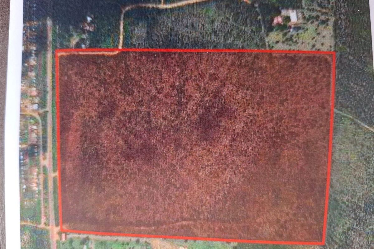 Prime Commercial Development Land for Sale in Strydfontein Agricultural Holdings - Photo 2