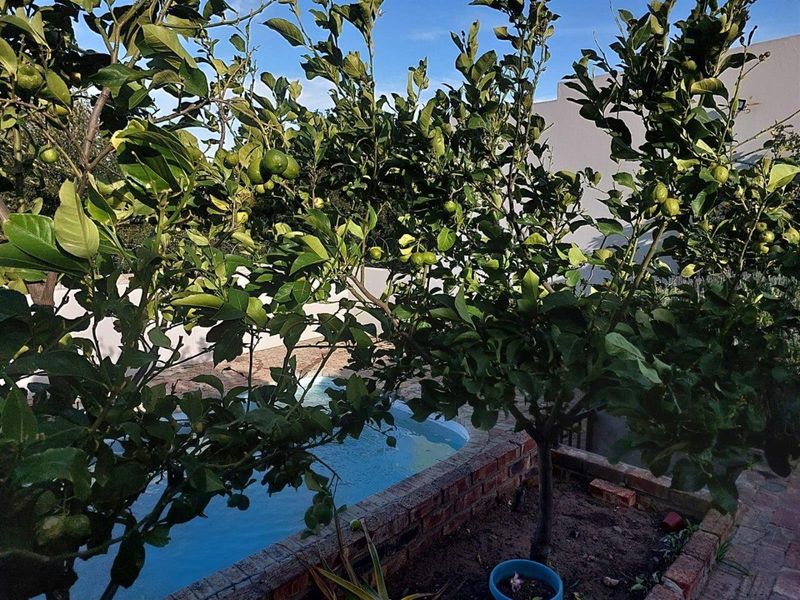 House For Sale in Ladismith - Photo 3