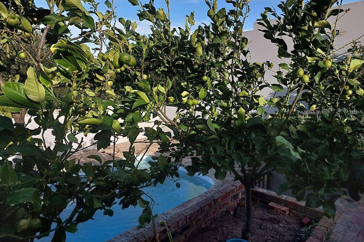 House For Sale in Ladismith - Photo 3