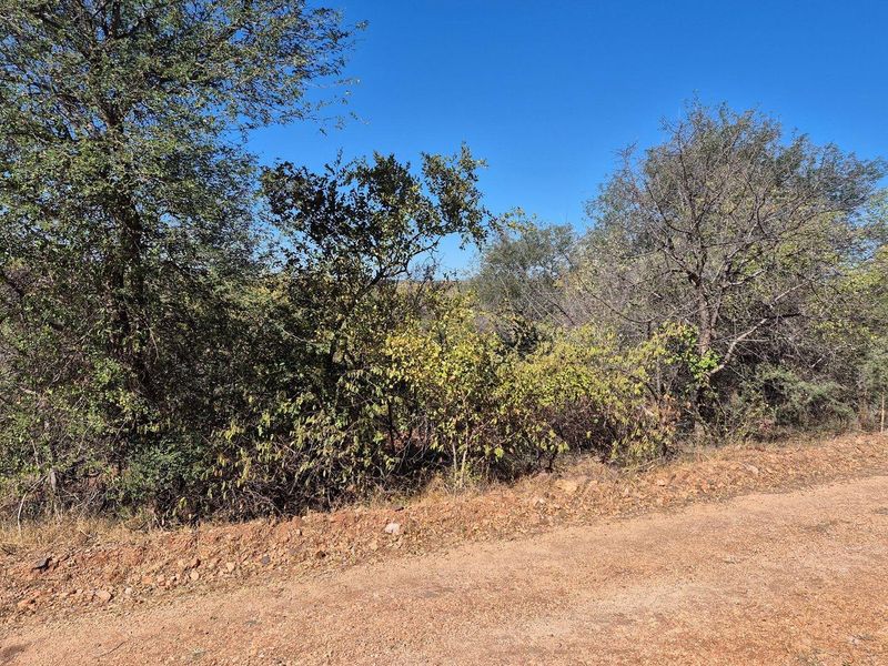 A view of the natural vegetation and unpaved road frontage on this vacant residential land plot.