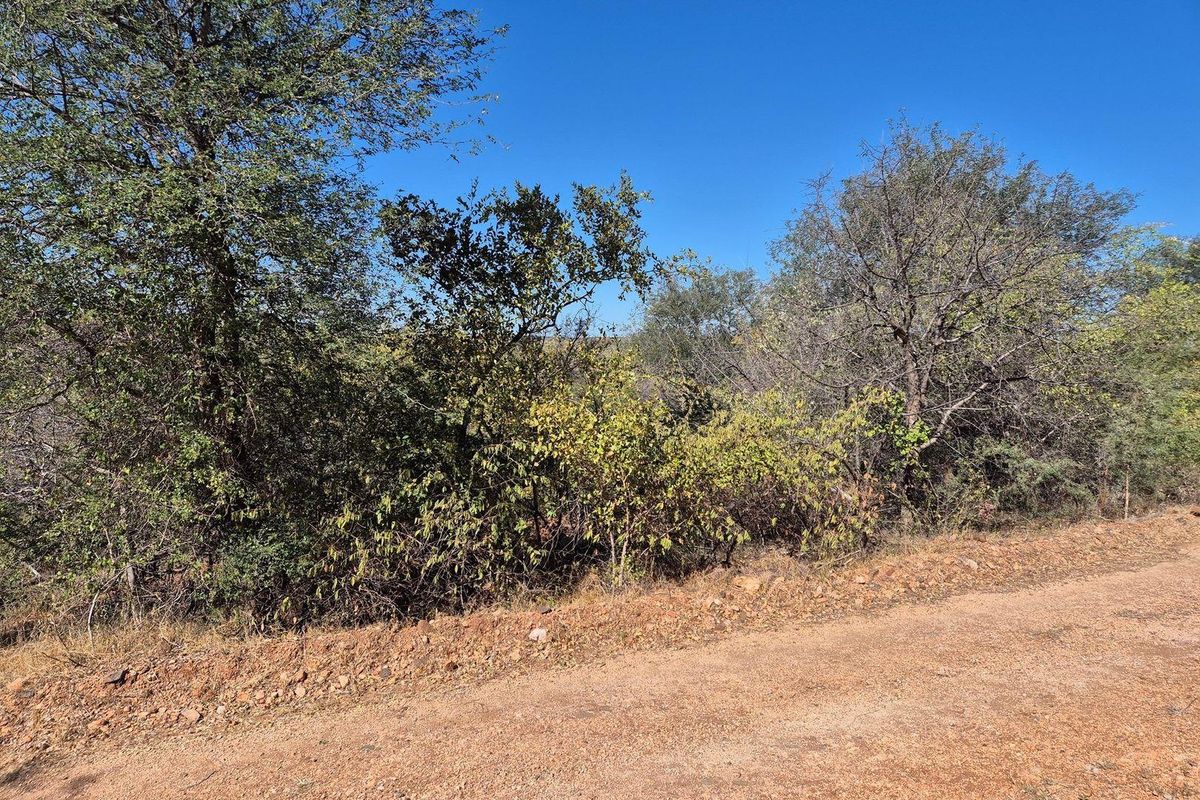 A view of the natural vegetation and unpaved road frontage on this vacant residential land plot.